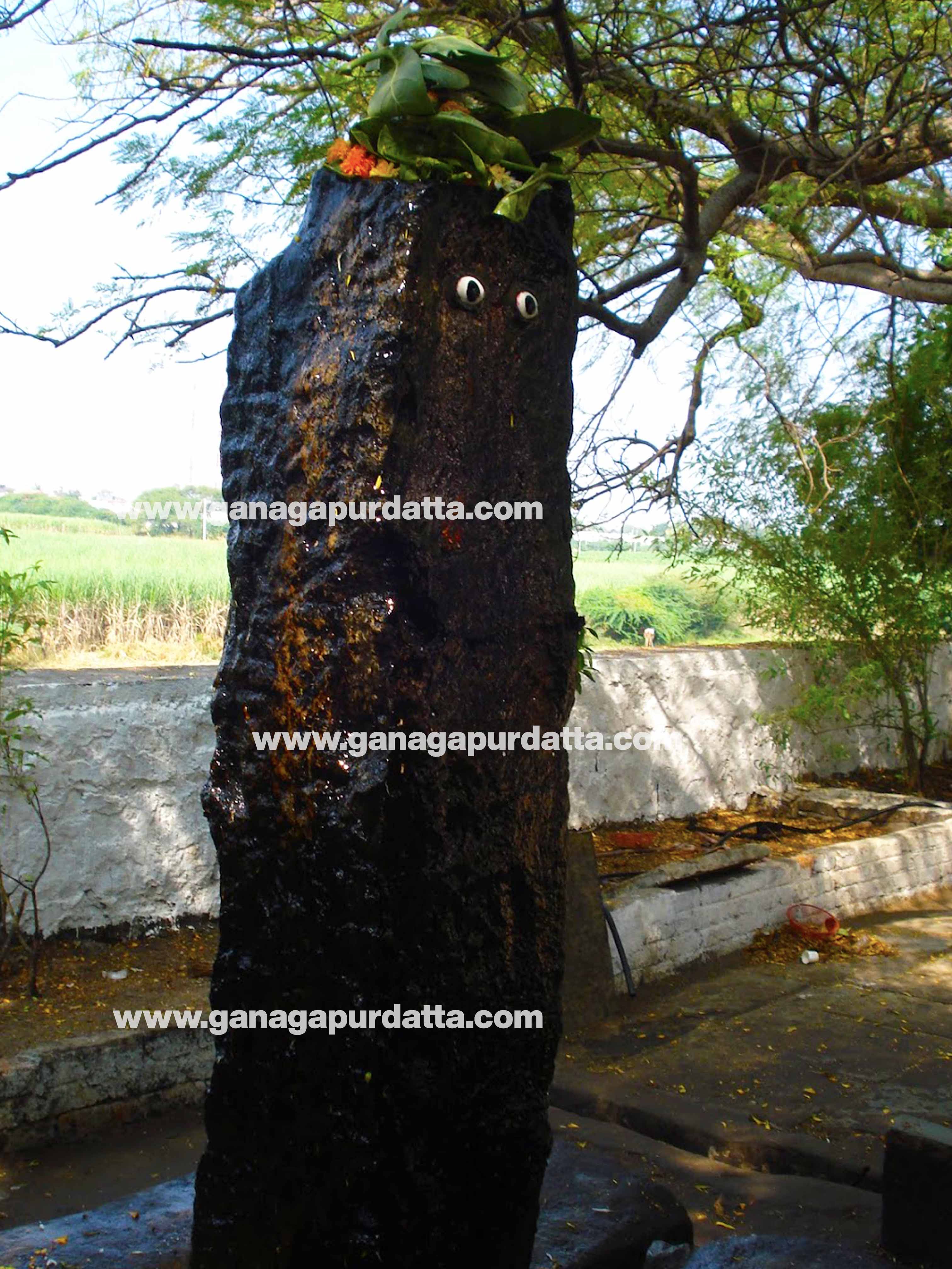 shani jayanti 2022